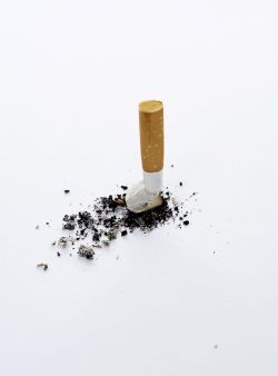 Photograph of stubbed out cigarette