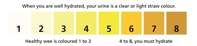 urine colour chart.jpg